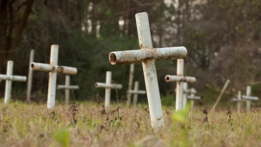 A white metal cross stands surrounded by many others like it in an overgrown field at sunset.