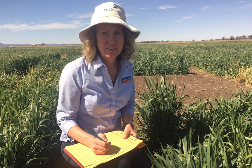 Meredith Herring sits in a field of wheat holding a notepad and pen