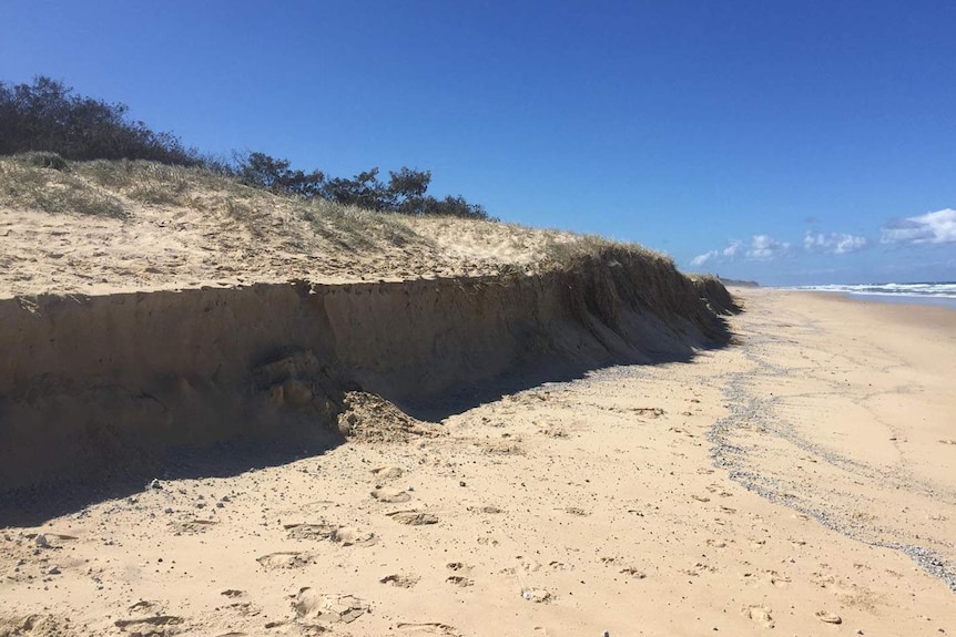 Eroded sand dunes at Coolum