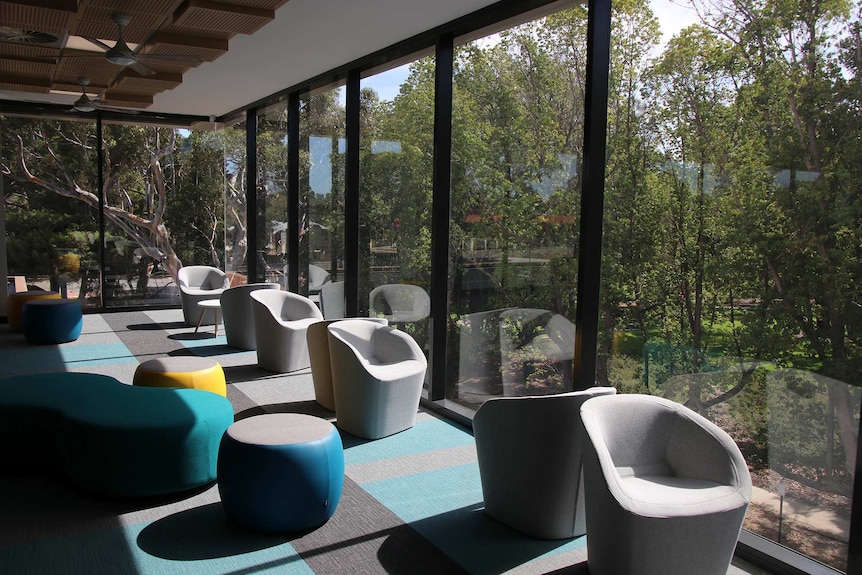 Chairs near large windows in the library at the new Bob Hawke College.