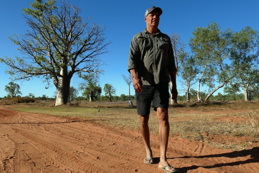 A man wearing thongs walks along a dirt track near a boab tree.