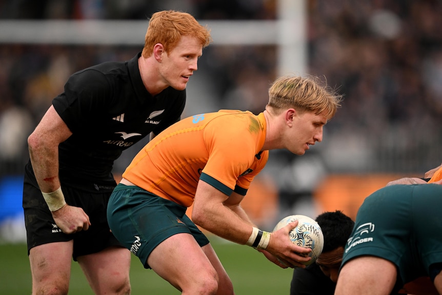 A Wallabies player feeds the ball into a scrum against the All Blacks.