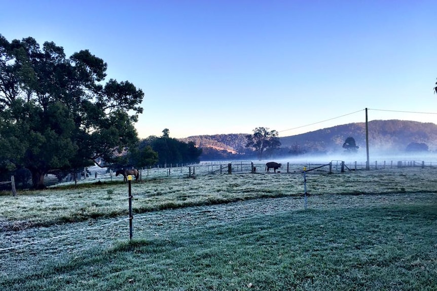 Frost and fog covers some farm land early in the morning.