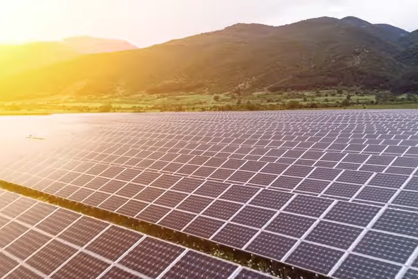 The low sun glints on a bank of solar panels in the country.