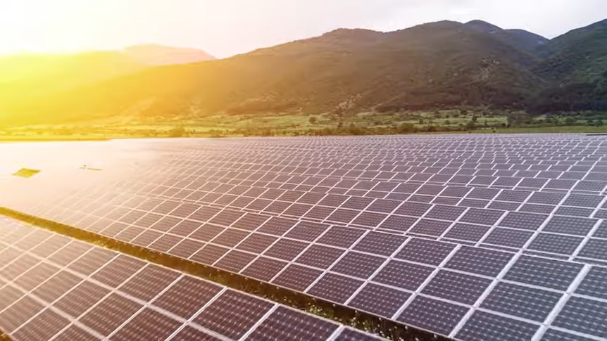 A field of solar panels