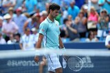 Novak Djokovic loses to John Isner