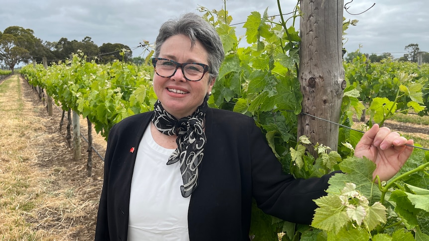 A woman wearing a white top and blazer standing in a vineyard. 