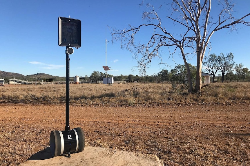 Robotic teacher on Mt Hope cattle station in Charters Towers