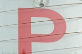 P plate