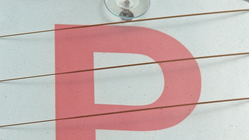 P plate