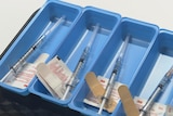 Syringes filled with a COVID-19 vaccine sit in individual trays.