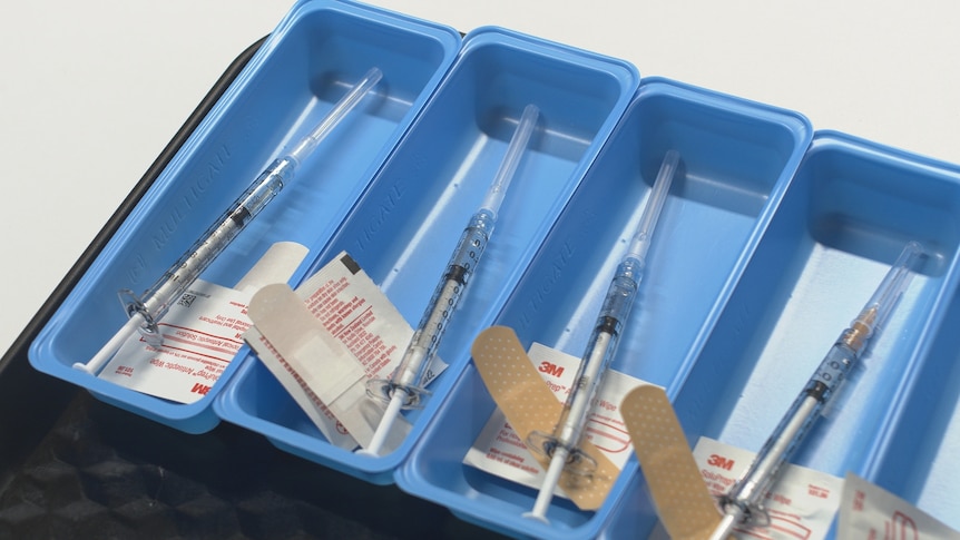 Syringes filled with a COVID-19 vaccine sit in individual trays.