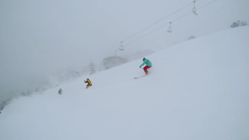 There were snowfalls at Thredbo and Perisher with heavy falls expected in alpine areas