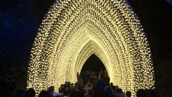 People walk through a tunnel of fairy lights shaped in an arc.
