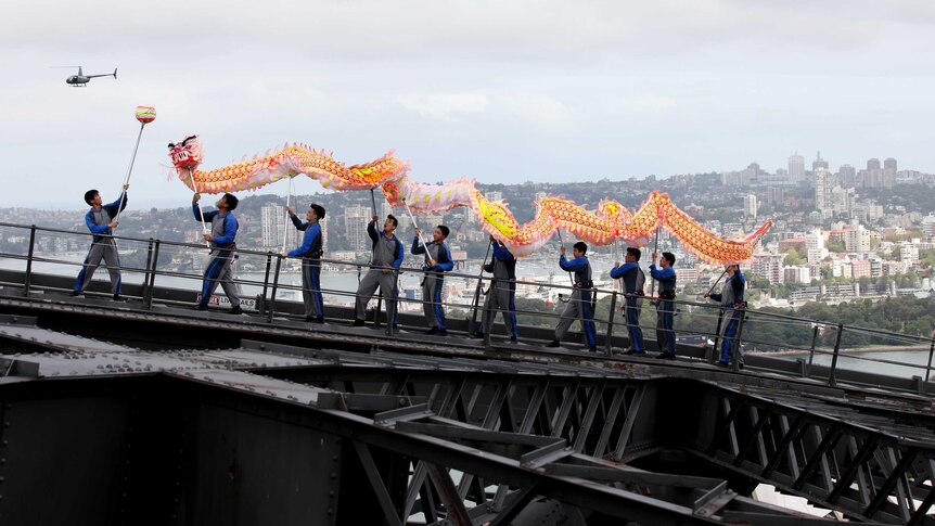 A Chinese dragon dances up the Sydney Harbour Bridge to welcome in the Chinese New Year of the Horse.