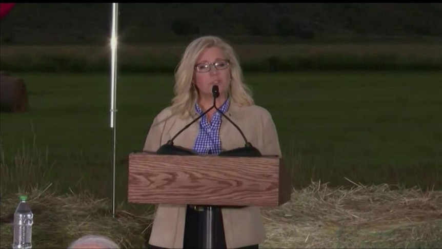 Liz Cheney concedes defeat in US primary race