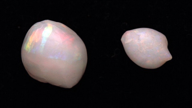 Two of the opalised pearls.