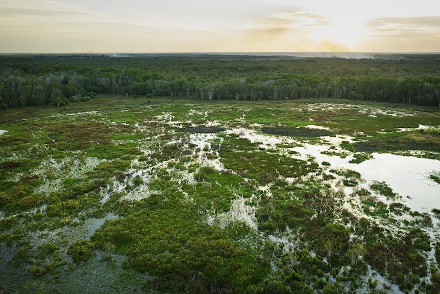 An aerial photo of vivid green wetland with patches of silvery water, in late afternoon fading light.