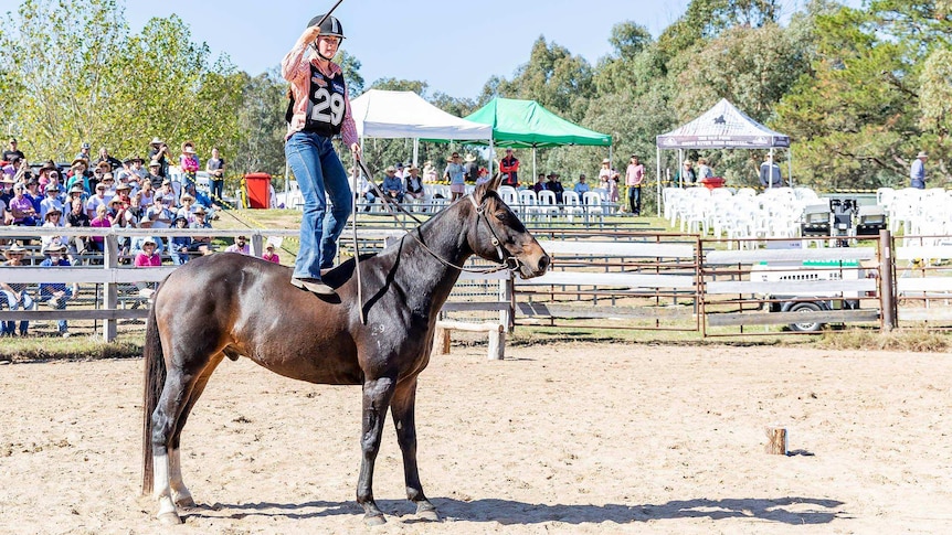 A teenager in jeans stands on a horse's bare back and cracks a whip as seated spectators look on.