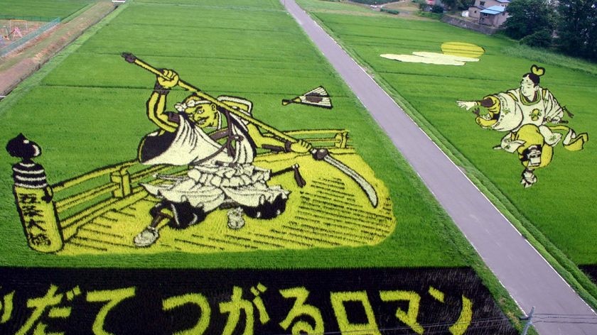 Rice creation: the field shows an ancient battle story between a warrior monk and a heroic little swordsman