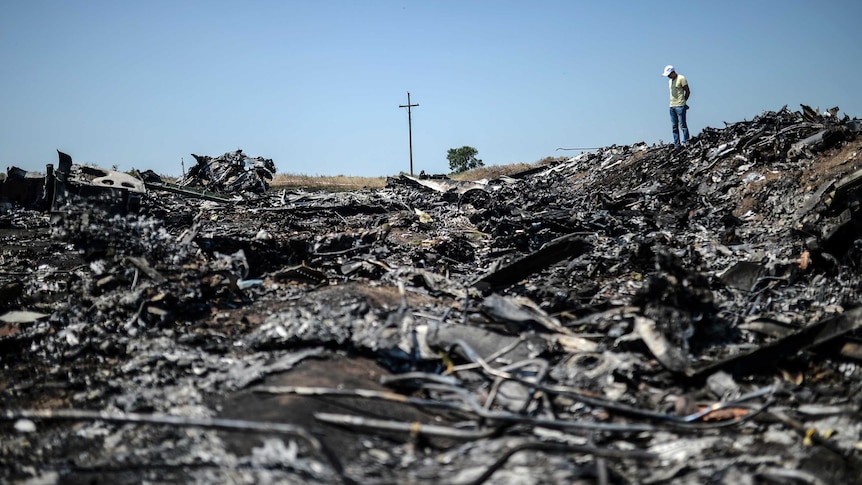 Man stands at MH17 crash site