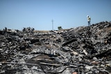 Man stands at MH17 crash site