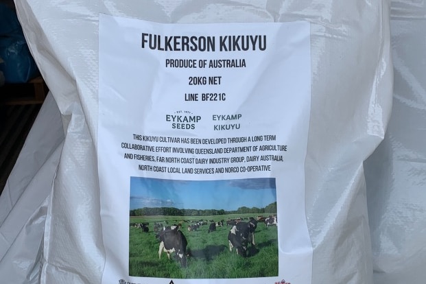 A large bag of grass seed with label Fulkerson Kikuyu, showing black and white cows grazing on the field.