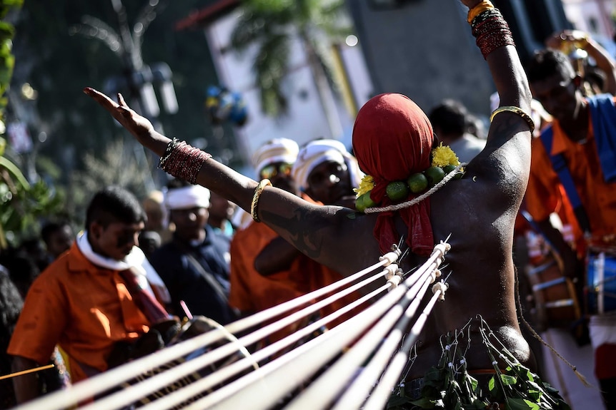 Hindu devotee restrained with hooks in his back while commemorating Thaipusam