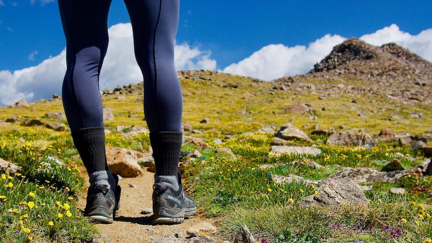 A pair of legs, in running shoes, standing in a beautiful grass-covered field to indicate the benefits of exercising outdoors.