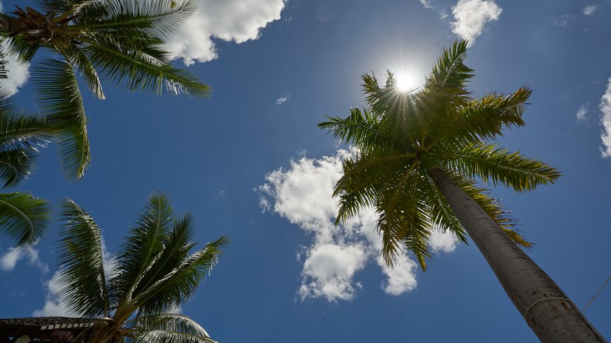 A shot taken looking up through palm trees shows a bright blue sky dotted with fluffy white clouds, the sun peeking out behind