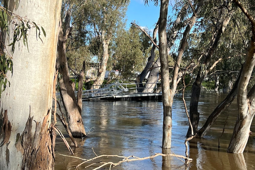 a photo of an underwtaer bridge in the campaspe river 
