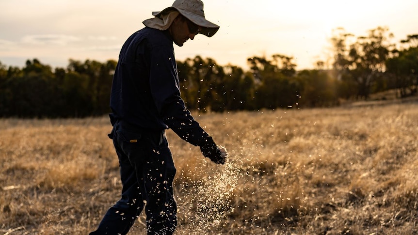 A man throws wildflower seeds