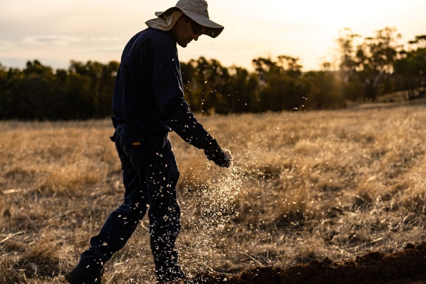 A man throws wildflower seeds