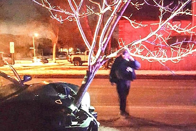 Tree stuck in car bonnet in Roselle