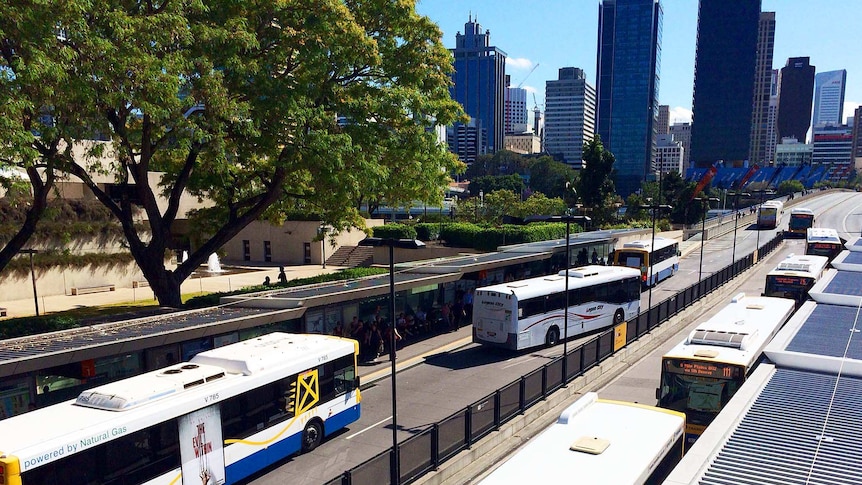 Buses at the Cultural Centre station at Brisbane's South Bank