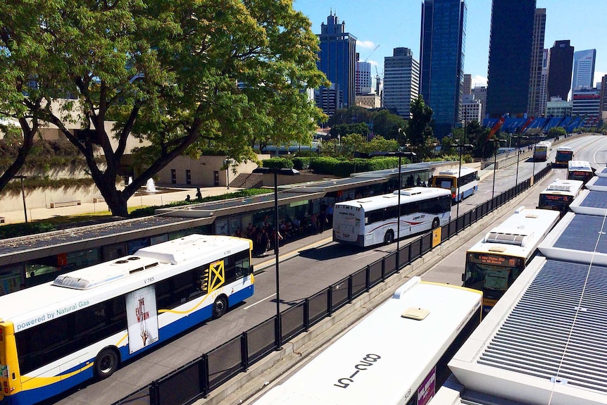 Buses at the Cultural Centre station at Brisbane's South Bank