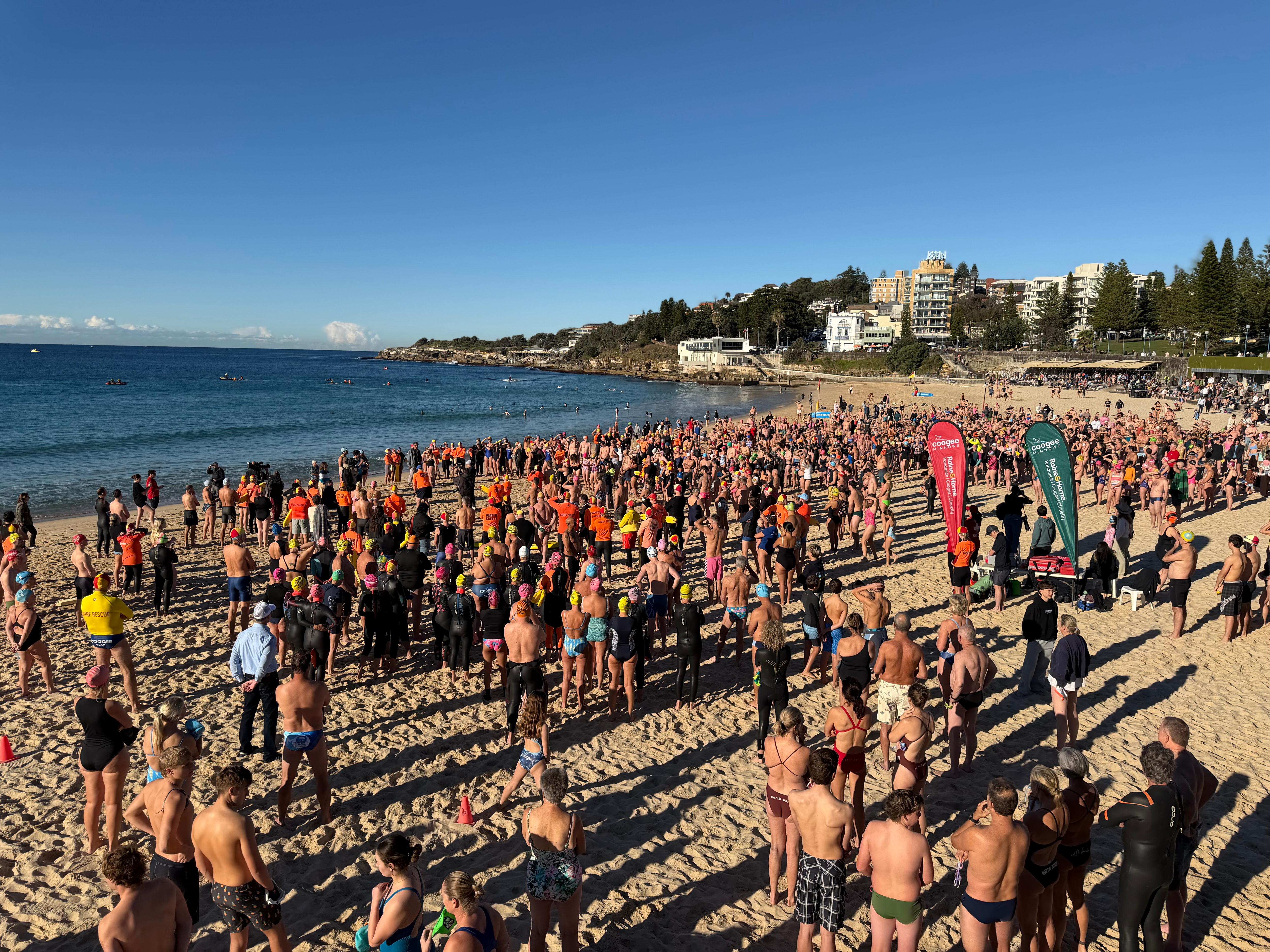 Swimmers return to shark attack beach to support Sydney mum (australia) — ABC News – Australia