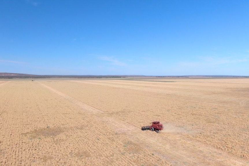 Headers harvesting oats in a large field near Tilpa in outback nsw