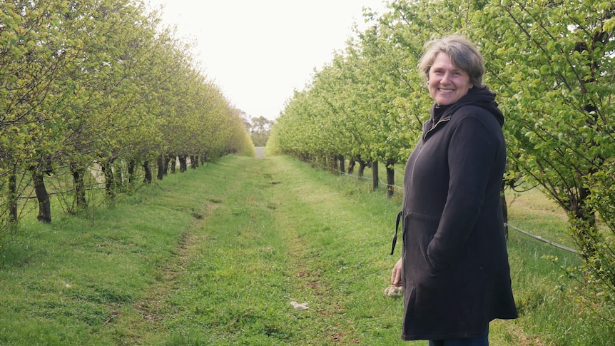 Woman standing with apricot trees