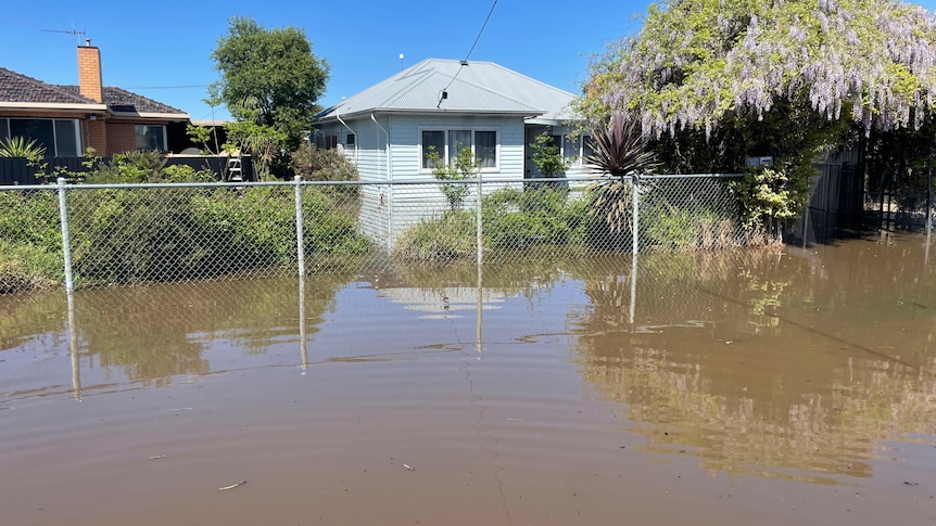 Houses pop out of brown flood water in a regional town