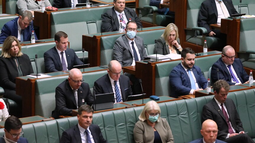 Coalition MPs, some wearing face masks, in the House of Representatives at Parliament House on August 1, 2022