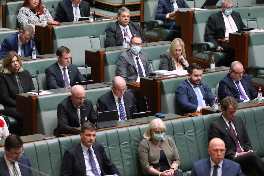 Coalition MPs, some wearing face masks, in the House of Representatives at Parliament House on August 1, 2022