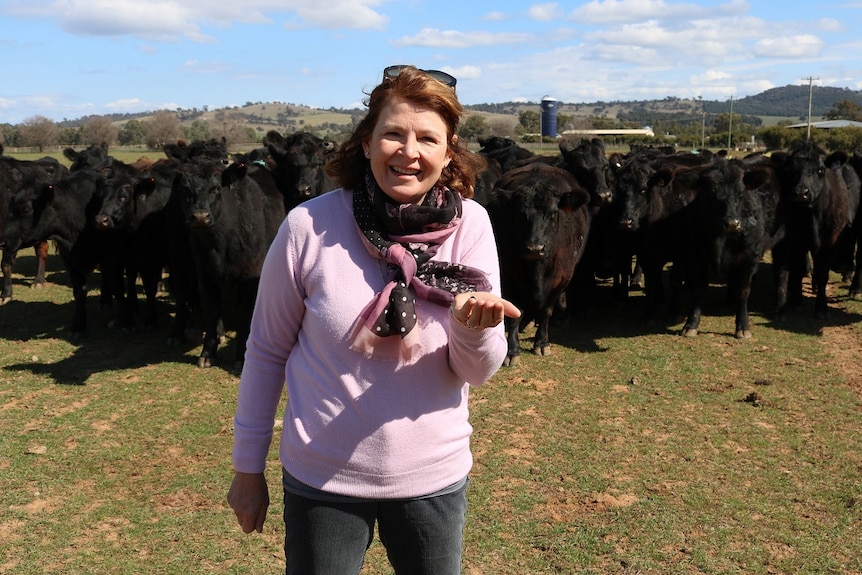 A woman holding up a dung beetle and a mob of cattle is in the background.