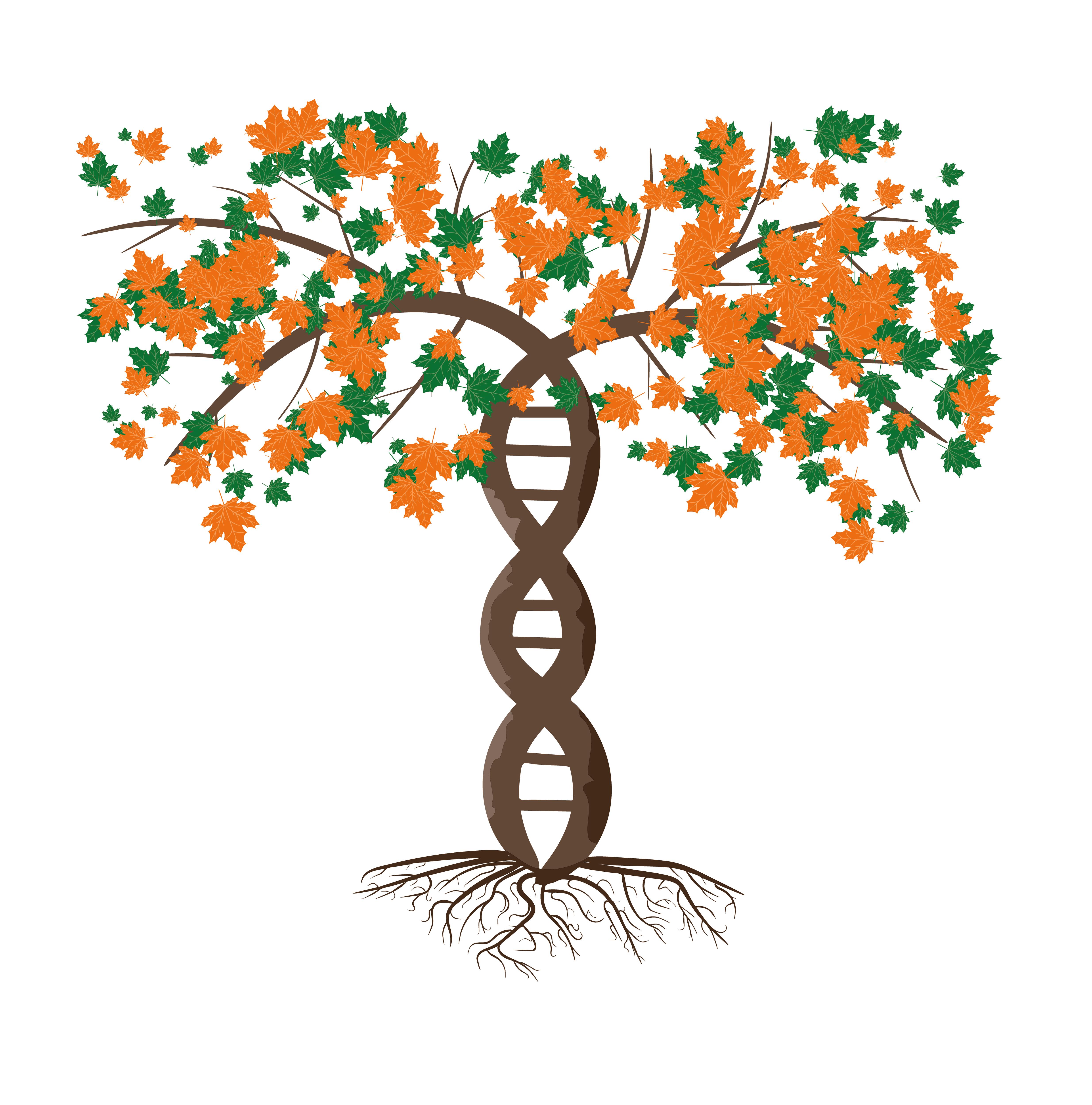 Finding skeletons in the closet — the ethics of DNA testing in family history research