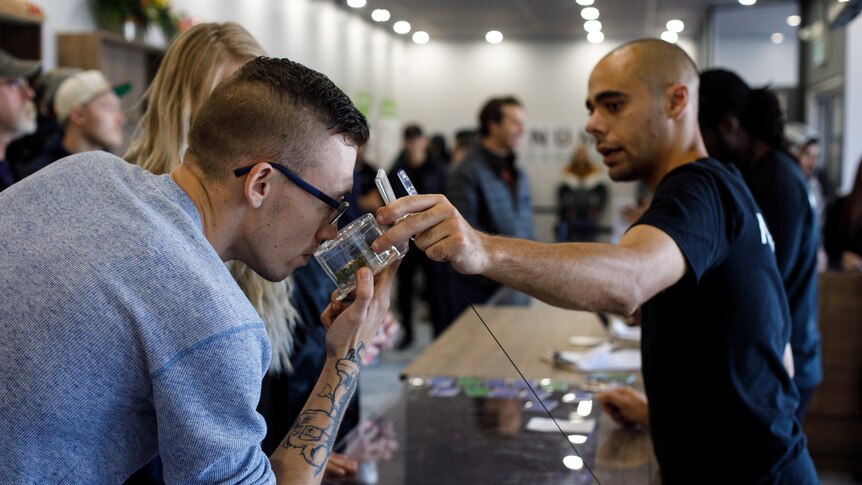 Numo Cannabis store showcases weed to customer