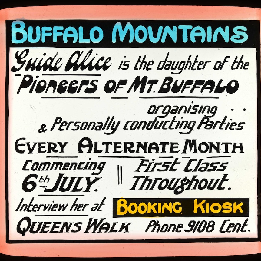 A historical advertisement for Alice Manfeild's tours of Buffalo Mountains National Park