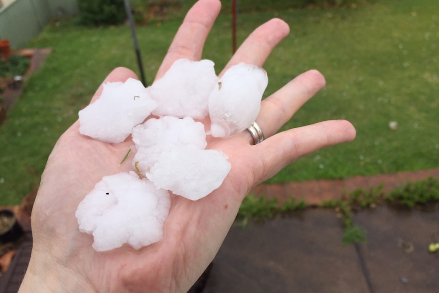 Five hailstones in a hand.