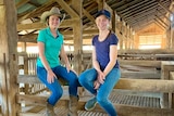 Year 10 students Felicity Whiteman and Tahlia Cowan sit on timber rails in a wool shed.