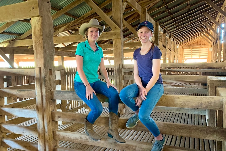 Year 10 students Felicity Whiteman and Tahlia Cowan sit on timber rails in a wool shed.