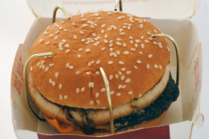 Close up phot of a burger in a box that says Big Mac, the burcher has five silver prongs over it, like a brooch